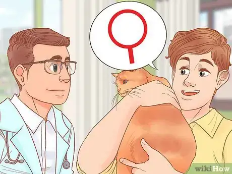 Image titled Be Responsible when You Have a Cat Step 12