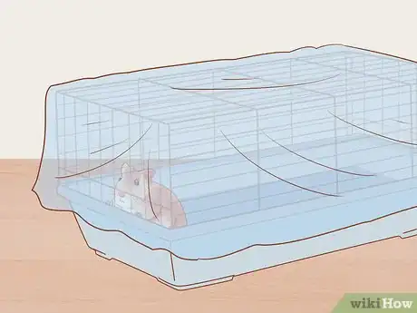 Image titled Introduce a New Hamster to Your Home Step 14