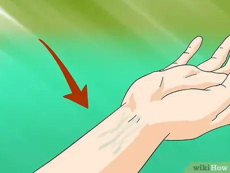 Image titled Take a Horse's Vital Signs Step 8