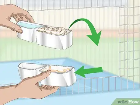 Image titled House a Hawk‐Headed Parrot Step 7