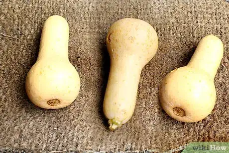 Image titled Cure Winter Squash Step 7