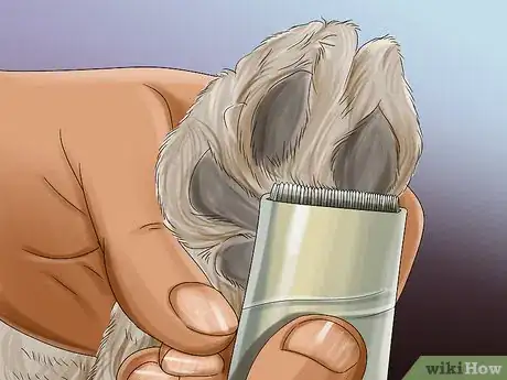 Image titled Groom a Goldendoodle Step 12