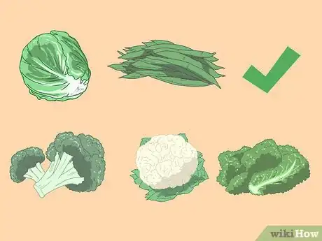 Image titled Lose Weight with IBS Step 6