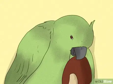 Image titled Make Your Parrot Feel Loved Step 2