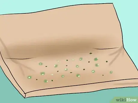 Image titled Grow Vegetables from Seeds Without Buying Seeds Step 10