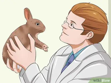 Image titled Care for Thrianta Rabbits Step 20