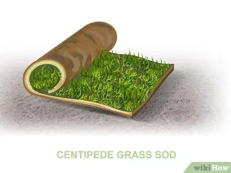 Image titled Grow Centipede Grass Step 09