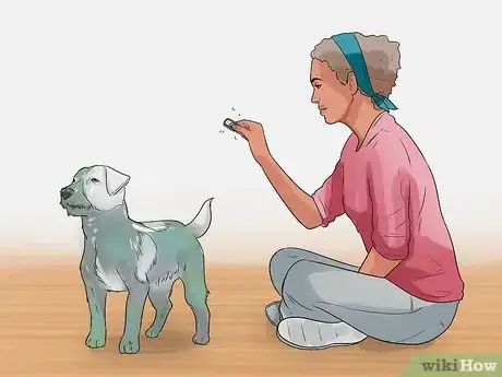 Image titled Show Your Dog Where He Is in the Pack Step 15
