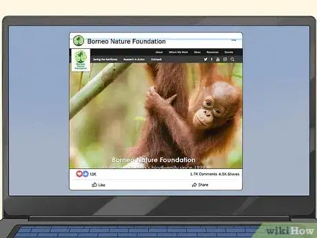 Image titled Help Save Orangutans Step 10
