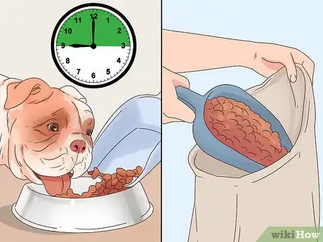 Image titled Travel with Dogs Step 13