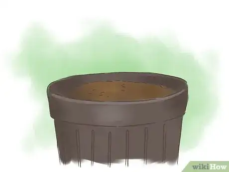 Image titled Grow Passion Fruit Step 2