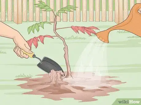 Image titled Plant Trees Near a Home without Damaging Your Foundation Step 13