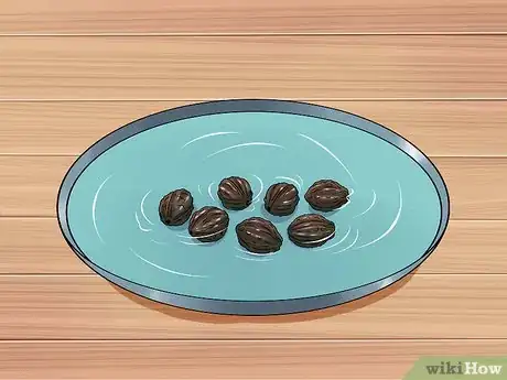 Image titled Grow Four O' Clock Flowers Step 2