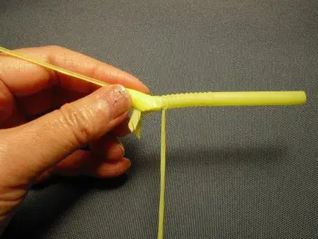 Image titled Shachi31_193.JPG