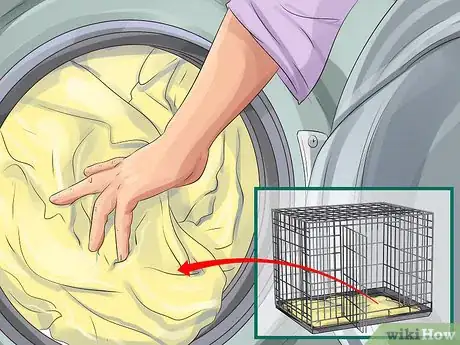 Image titled Reduce Ferret Odor Step 8