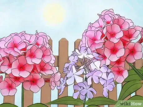 Image titled Attract Butterflies Step 3