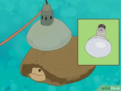 Image titled Wake a Tortoise from Hibernation Step 4