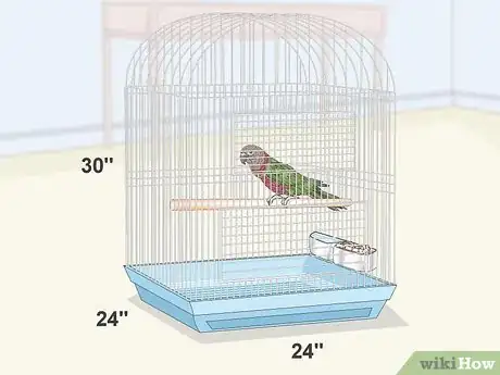 Image titled Know if a Hawk‐Headed Parrot Is Right for You Step 7