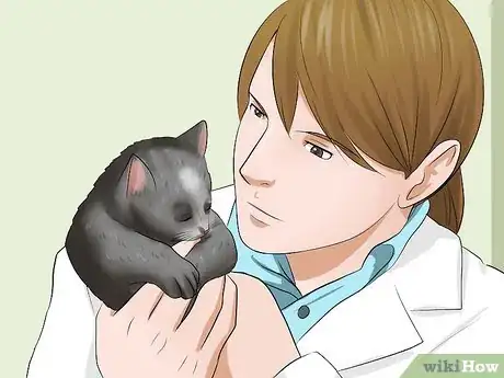 Image titled Detect Kitten URI or Pneumonia Step 6