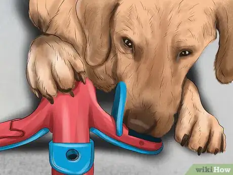 Image titled Use Dog Pheromone Products Step 11