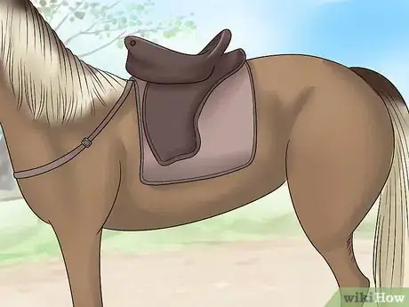 Image titled Care for a Gaited Horse Step 3