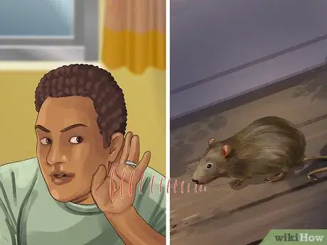 Image titled Catch Roof Rats Step 9