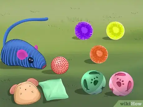 Image titled Find a Lost Cat Step 6