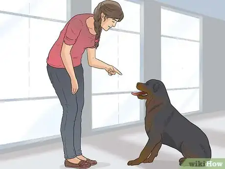 Image titled Care for Rottweilers Step 16