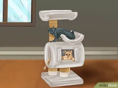 Image titled Choose a Kitty Condo Step 6