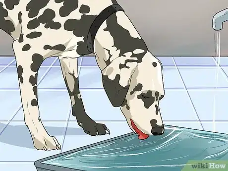 Image titled Treat Urinary Tract Problems in Dogs Step 3