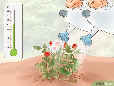 Image titled Grow Roses Organically Step 3