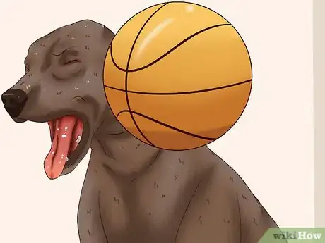 Image titled Ease Your Dog's Stomach Problems Step 5