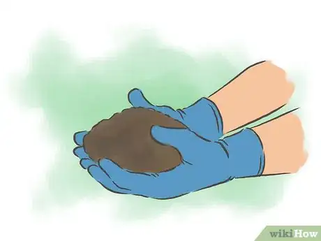 Image titled Make a Worm Compost System Step 10