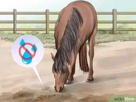 Image titled Prevent Botulism in Horses Step 5