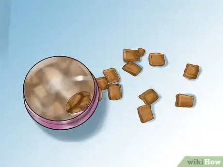 Image titled Hide Treats for Your Cat Step 5