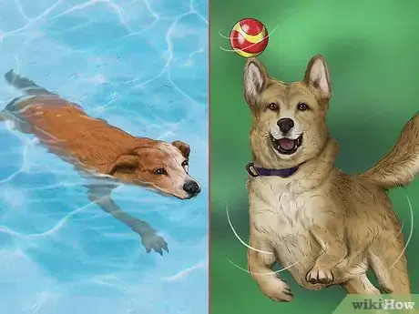 Image titled Use Dog Pheromone Products Step 10