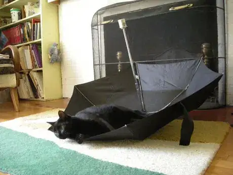 Image titled Dryumbrella