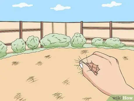 Image titled Keep Opossums Away Step 9