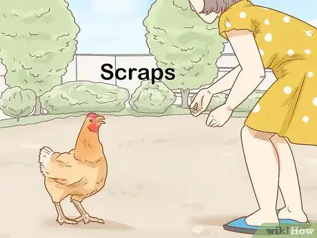 Image titled Talk to Your Chickens Step 9