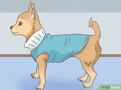 Image titled Make a Rat Terrier Warmer Step 6