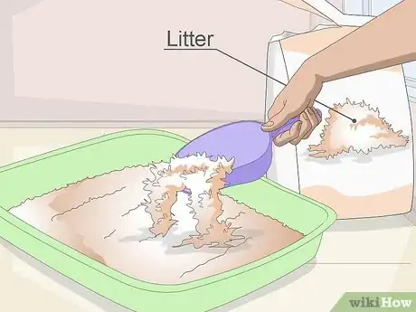 Image titled Buy Necessary Supplies for Your New Cat Step 4