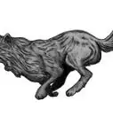 Draw a Running Wolf
