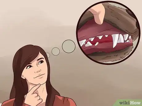 Image titled Treat Canine Kidney Disease Step 7