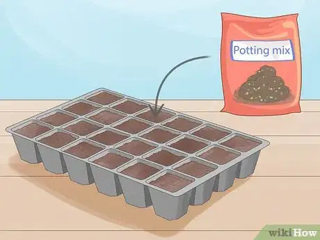 Image titled Grow Vegetables in New England Step 6