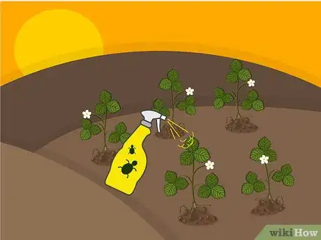 Image titled Grow Strawberries Step 20