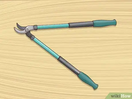 Image titled Prune Nyssa Sylvatica Step 2