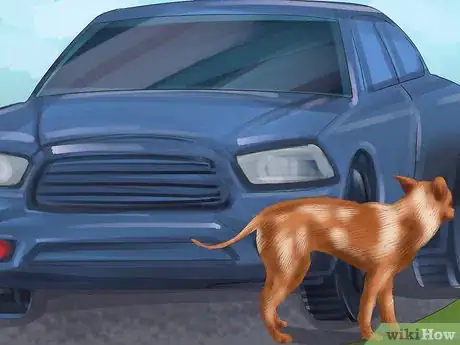 Image titled Get a Dog Out of a Busy Road Step 1