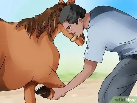 Image titled Be Comfortable Around a Bad‐Tempered Horse Step 6