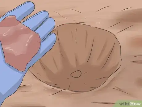 Image titled Plant Sunflower Seeds Step 9