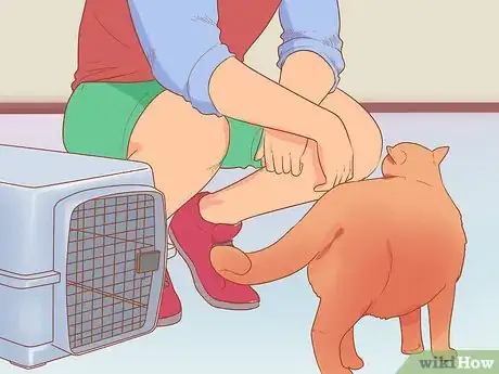 Image titled Introduce a Cat That Used to Belong to Someone Else to Your Home Step 9